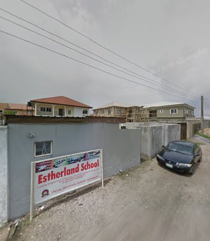 Mechanic/Car Dealer