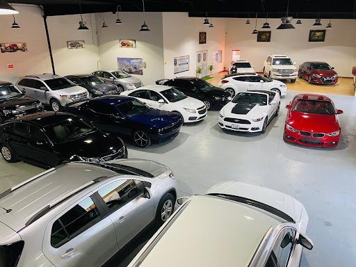ANDALEEB CARS