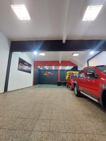 Automores delia