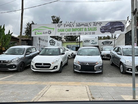 Dam Car sales