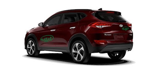 Hallel Car Importer