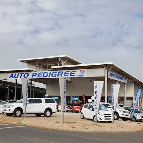 Auto Pedigree Kempton Park