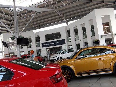Volkswagen Automotive Dealership