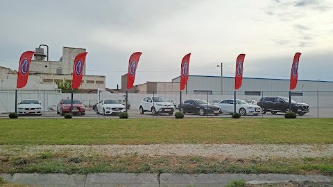 Auto Pro
