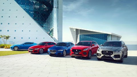 Jaguar Retailer Alpha International Tunisie