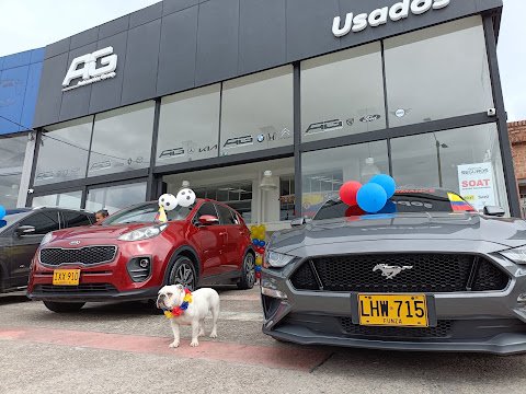 AG Automotor Group