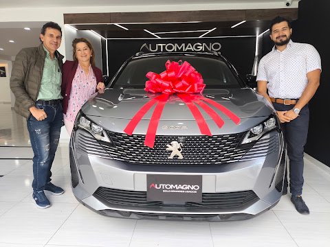 AUTOMAGNO Solo Grandes Usados