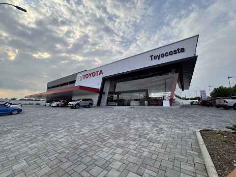 Toyocosta