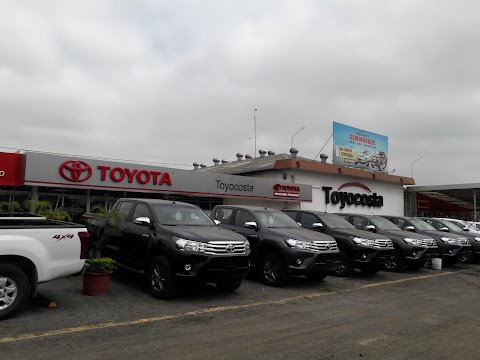 Toyocosta