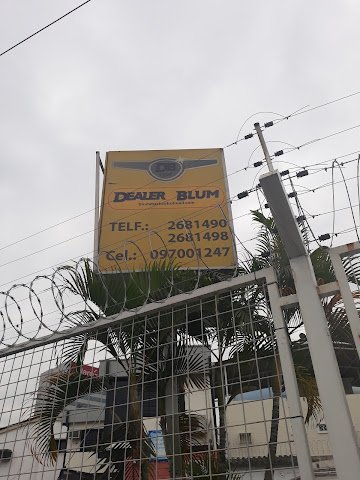 Dealer Blum