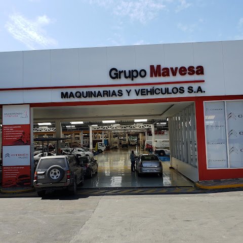 Grupo Mavesa