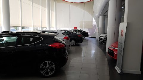 KIA Showroom Hazmieh