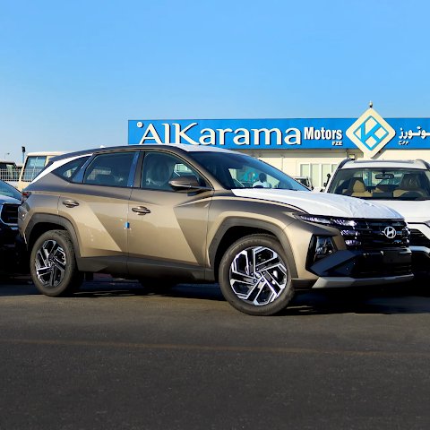 Al Karama Motors